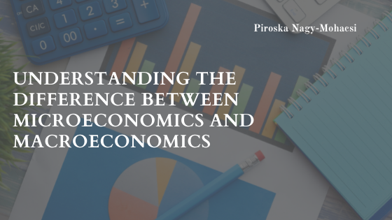 Understanding the Difference Between Microeconomics and Macroeconomics